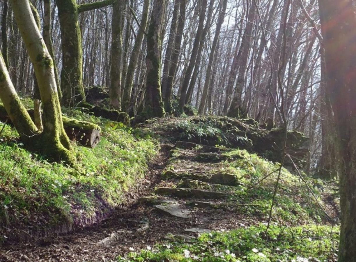 فيلا La Chouette Au Bouleau Hargnies المظهر الخارجي الصورة
