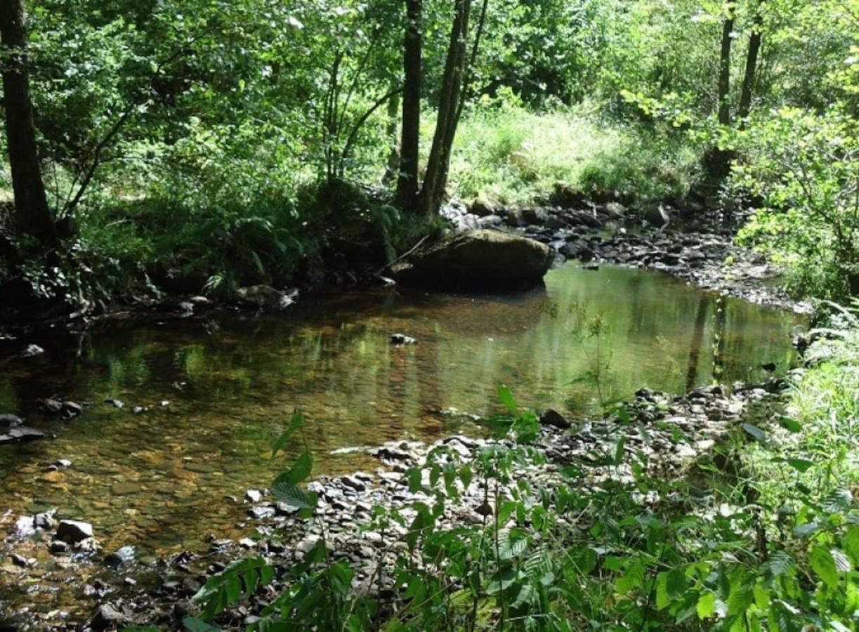فيلا La Chouette Au Bouleau Hargnies المظهر الخارجي الصورة