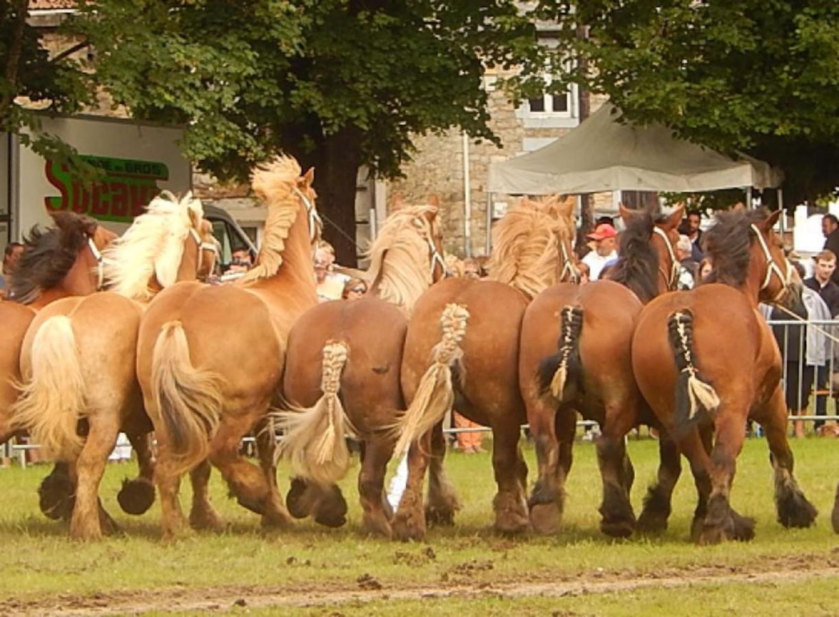 فيلا La Chouette Au Bouleau Hargnies المظهر الخارجي الصورة